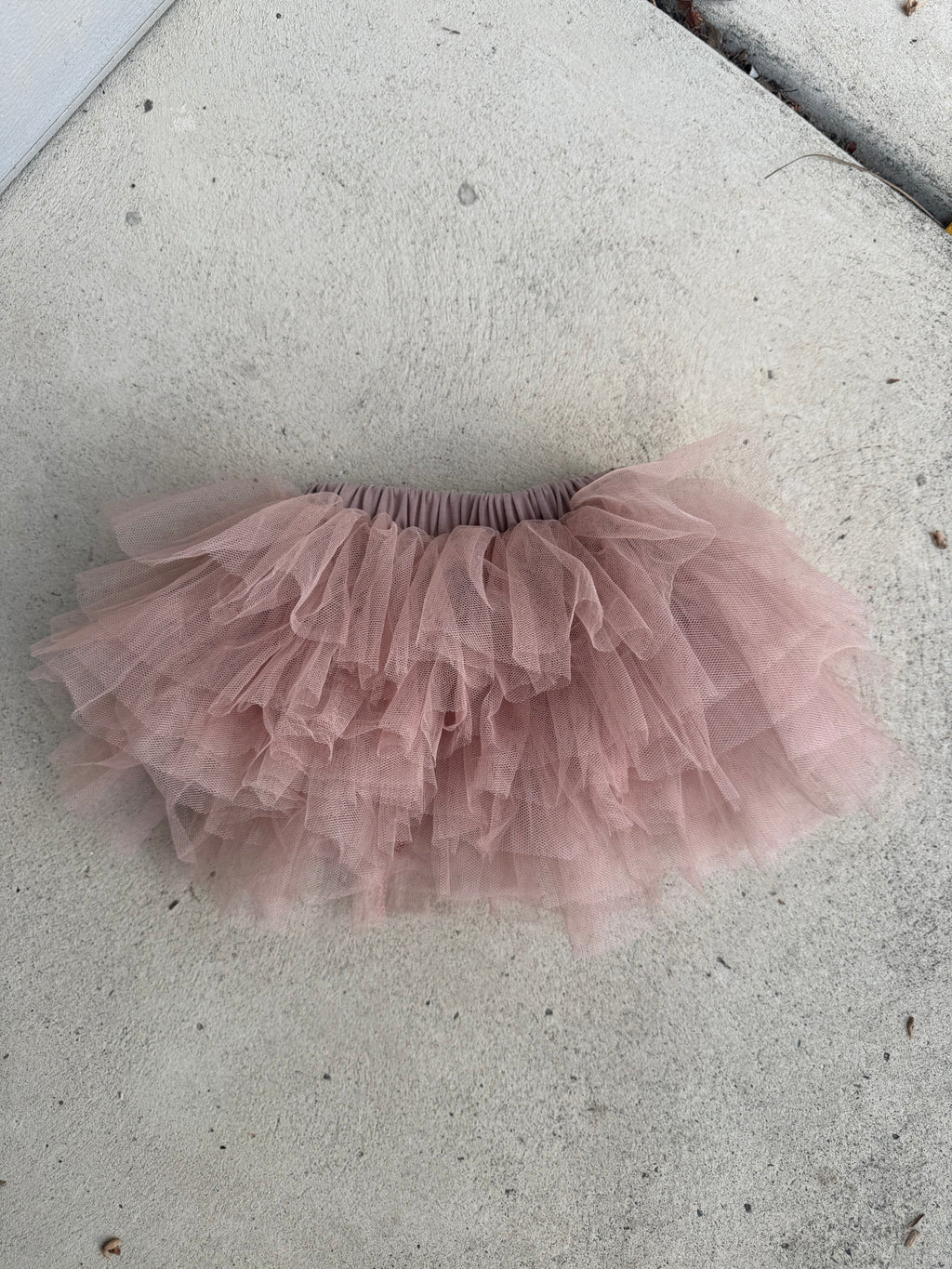 TROUBLE IN TULE SKIRT