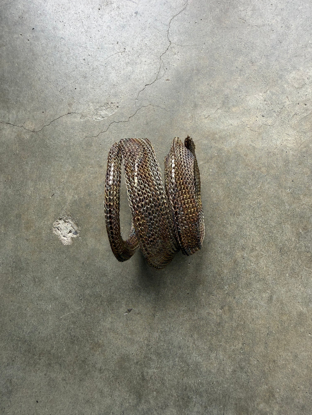 The Coil