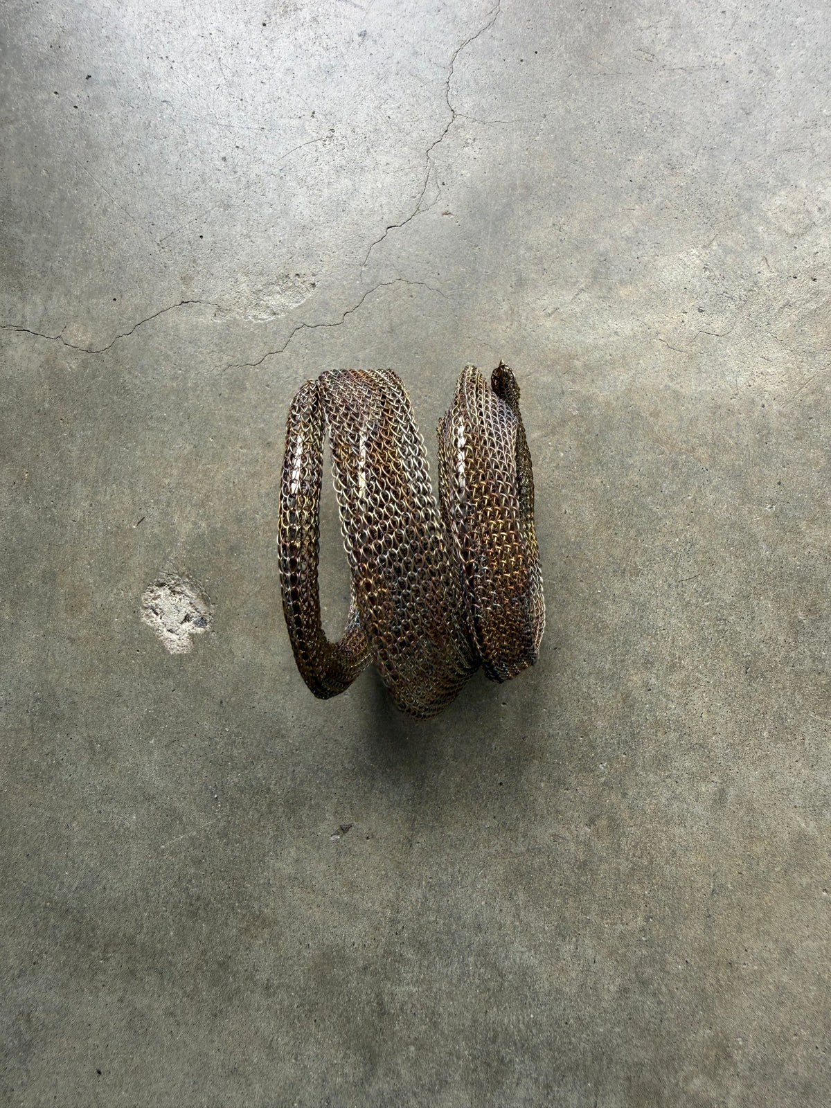 The Coil