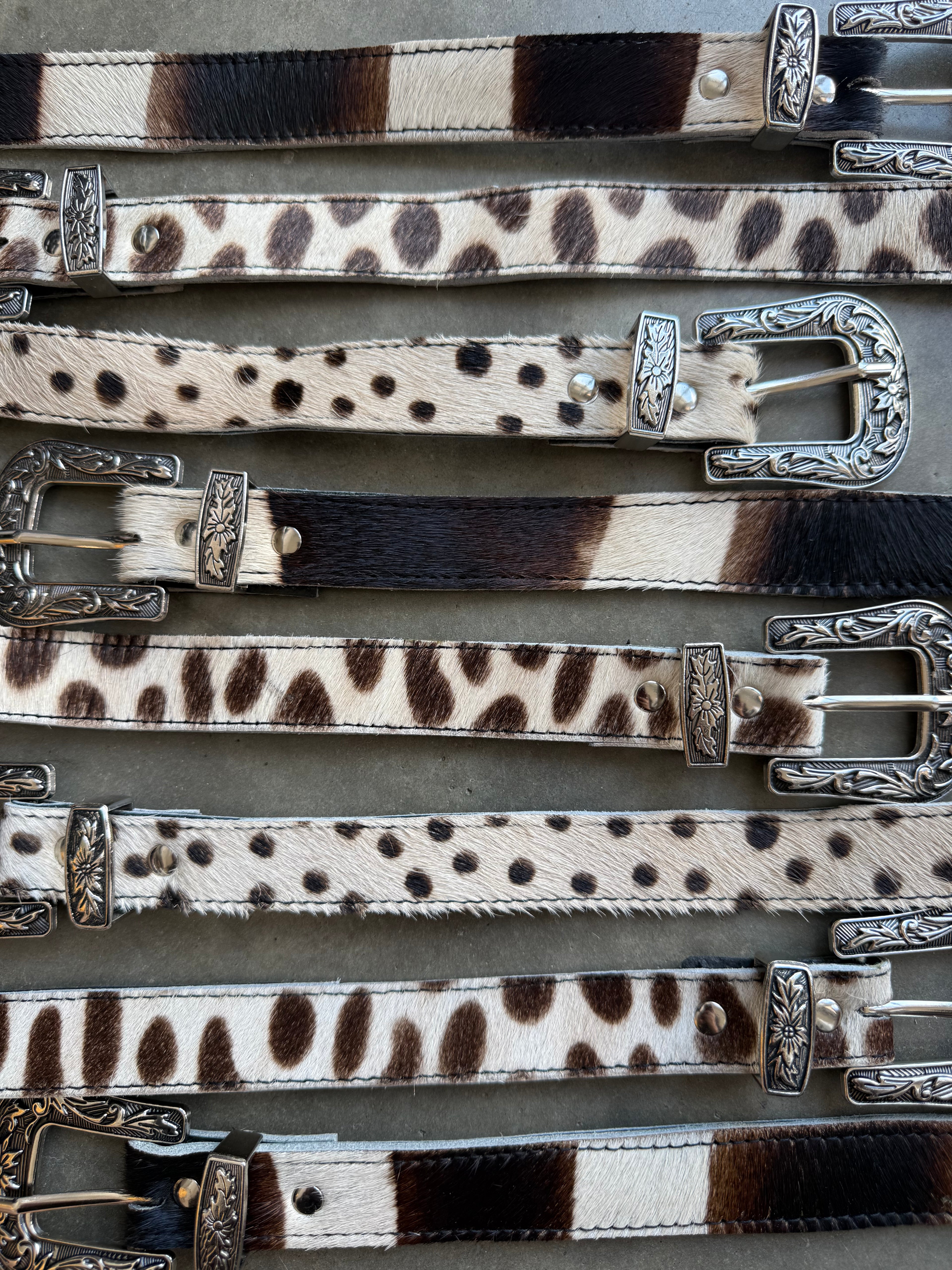 The Outlaw Belt
